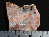 Cotton Candy Rock Slab 176