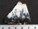 Graveyard Point Plume Agate Rock Slab 0403