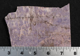 Turkish Jade Rock Slab 16