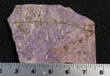 Turkish Jade Rock Slab 14