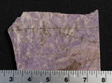 Turkish Jade Rock Slab 15
