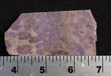 Turkish Jade Rock Slab 24