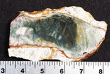 Morrisonite Jasper Rock Slab 258