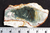 Morrisonite Jasper Rock Slab 258