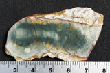 Morrisonite Jasper Rock Slab 259