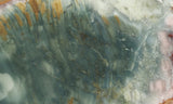 Morrisonite Jasper Rock Slab 259