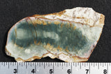 Morrisonite Jasper Rock Slab 259