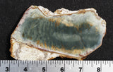 Morrisonite Jasper Rock Slab 290