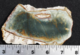 Morrisonite Jasper Rock Slab 277