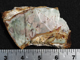 Morrisonite Jasper Rock Slab 297