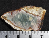 Morrisonite Jasper Rock Slab 279