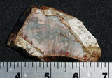 Morrisonite Jasper Rock Slab 294