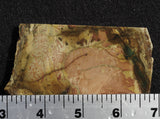 Morrisonite Jasper Rock Slab 283