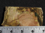 Morrisonite Jasper Rock Slab 283