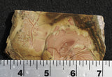 Morrisonite Jasper Rock Slab 269