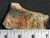 Morrisonite Jasper Rock Slab 274