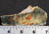 Morrisonite Jasper Rock Slab 276