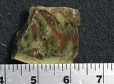 Morrisonite Jasper Rock Slab 295