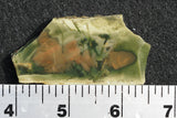 Morrisonite Jasper Rock Slab 286