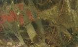 Morrisonite Jasper Rock Slab 284