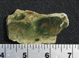 Morrisonite Jasper Rock Slab 299