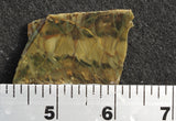 Morrisonite Jasper Rock Slab 265