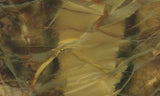 Morrisonite Jasper Rock Slab 265