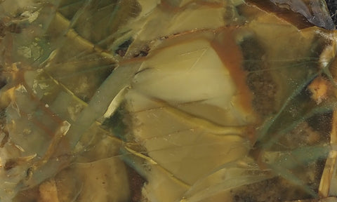 Morrisonite Jasper Rock Slab 265