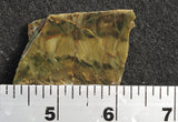 Morrisonite Jasper Rock Slab 265