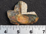 Morrisonite Jasper Rock Slab 288
