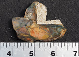 Morrisonite Jasper Rock Slab 288