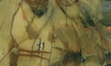 Morrisonite Jasper Rock Slab 287