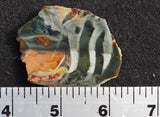 Morrisonite Jasper Rock Slab 260