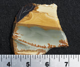 Owyhee Jasper Rock Slab 0025