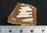 Owyhee Jasper Rock Slab 495