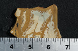 Owyhee Jasper Rock Slab 0034