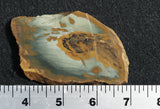 Bargain Bin E Slab 170