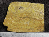 Bargain Bin F Slab 172