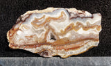 Bargain Bin E Slab 279