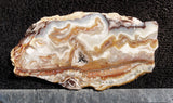 Bargain Bin E Slab 279