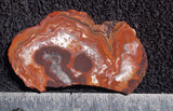 Mexican Crazy Lace Agate Rock Slab 422