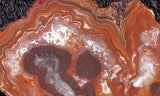 Mexican Crazy Lace Agate Rock Slab 422