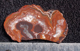 Mexican Crazy Lace Agate Rock Slab 422