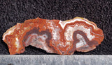 Mexican Crazy Lace Agate Rock Slab 412