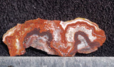 Mexican Crazy Lace Agate Rock Slab 412