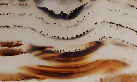 Montana Agate Rock Slab 187