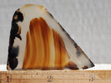 Montana Agate Rock Slab 200