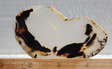 Montana Agate Rock Slab 188