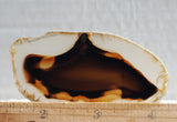 Montana Agate Rock Slab 180