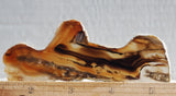 Montana Agate Rock Slab 190